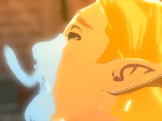 BOTW Zelda getting fucked by Bokoblins [Animation by SableServiette]